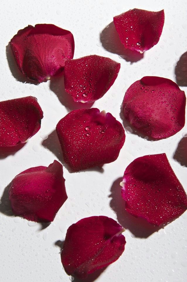 LOVE • Rose Quartz Wickless Candle